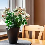 Appartement Near Luxembourg *