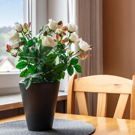 Apartment Near Luxembourg *
