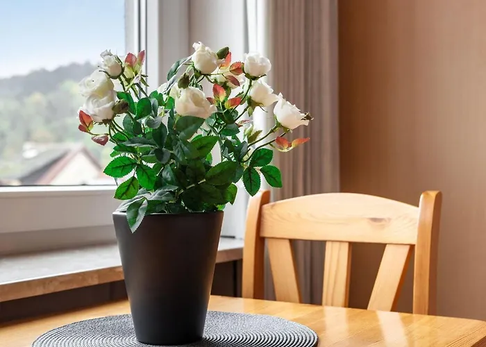 Appartement Near Luxembourg *